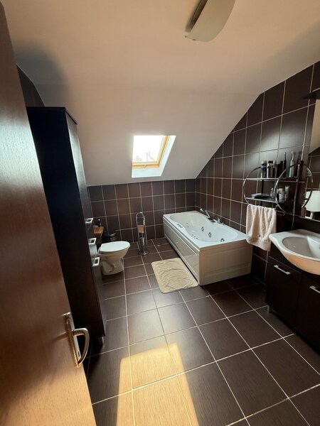 Clinceni, strada Ciorogarlei (Put Olteni)