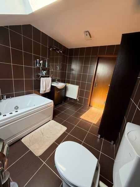 Clinceni, strada Ciorogarlei (Put Olteni)