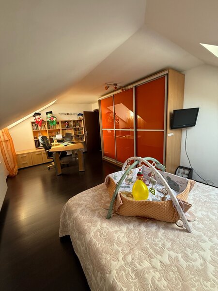 Clinceni, strada Ciorogarlei (Put Olteni)